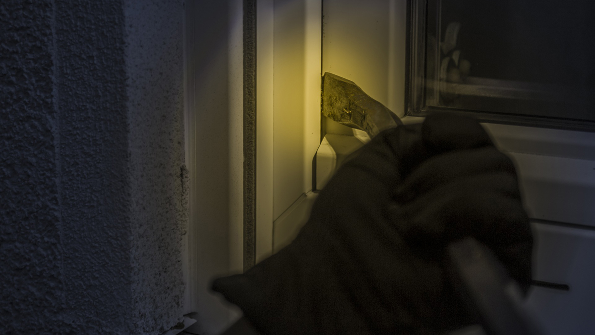 The Eighth Commandment: You shall not steal.